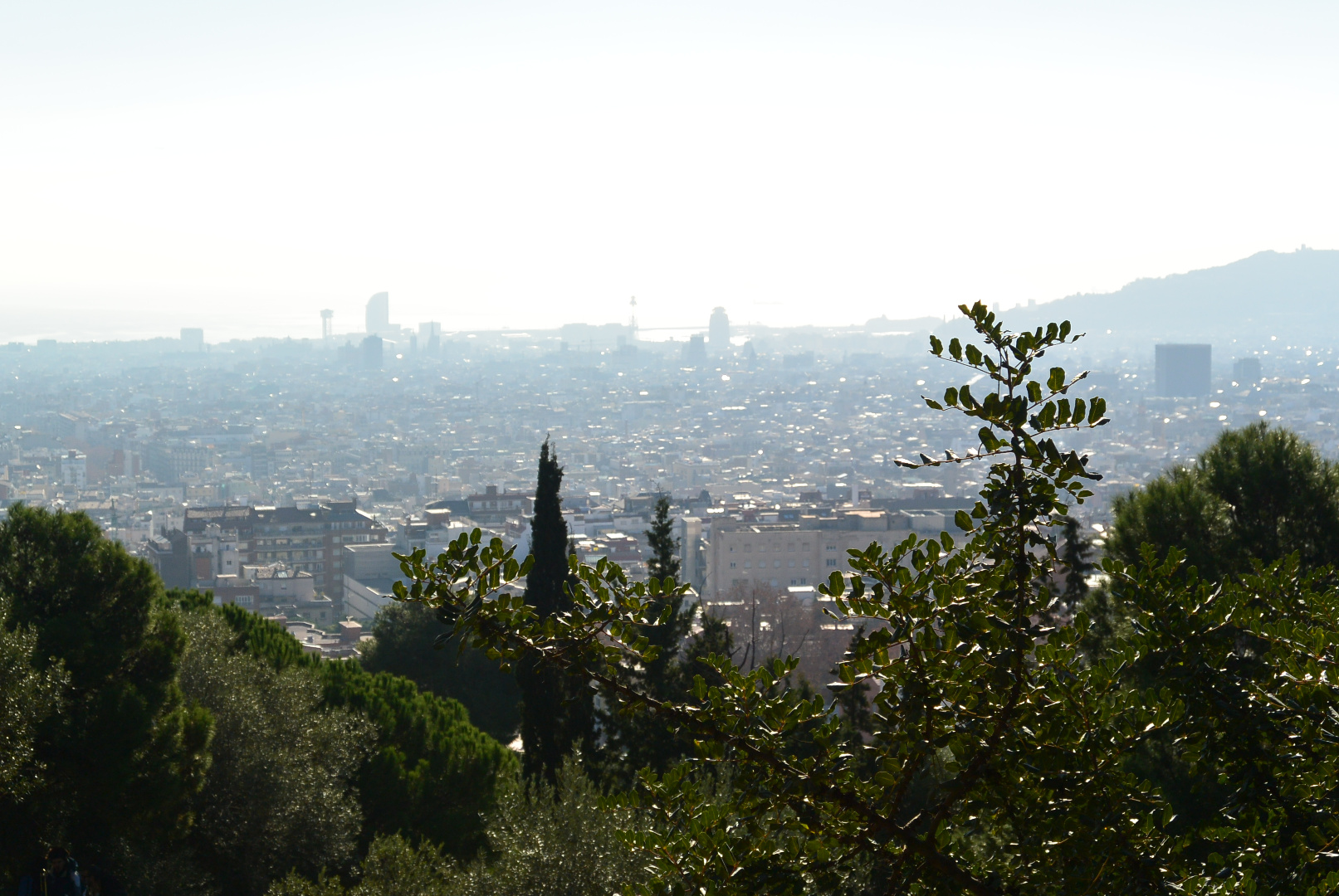 Espagne 261218 301218  194